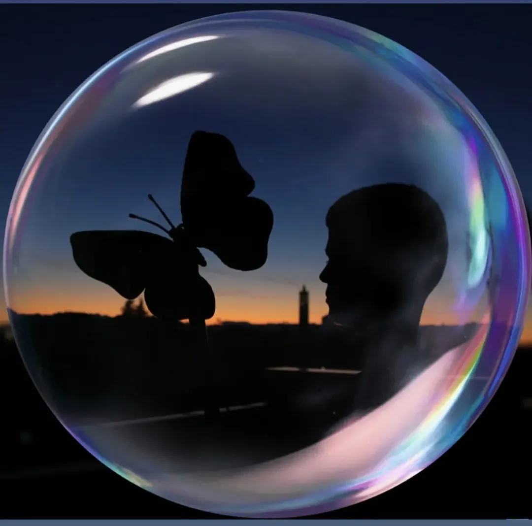 Silhouette di una farfalla e di un volto dentro una bolla di sapone al tramonto